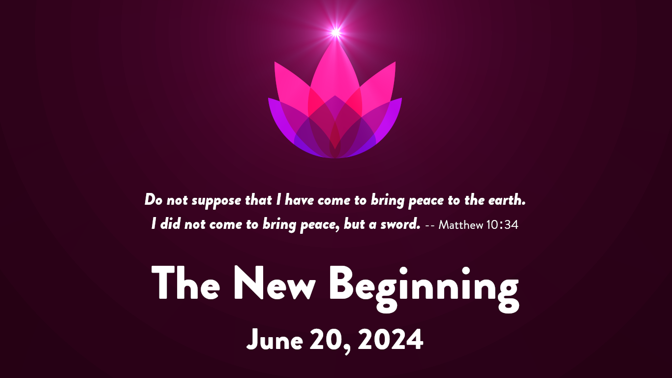 The New Beginning cover image